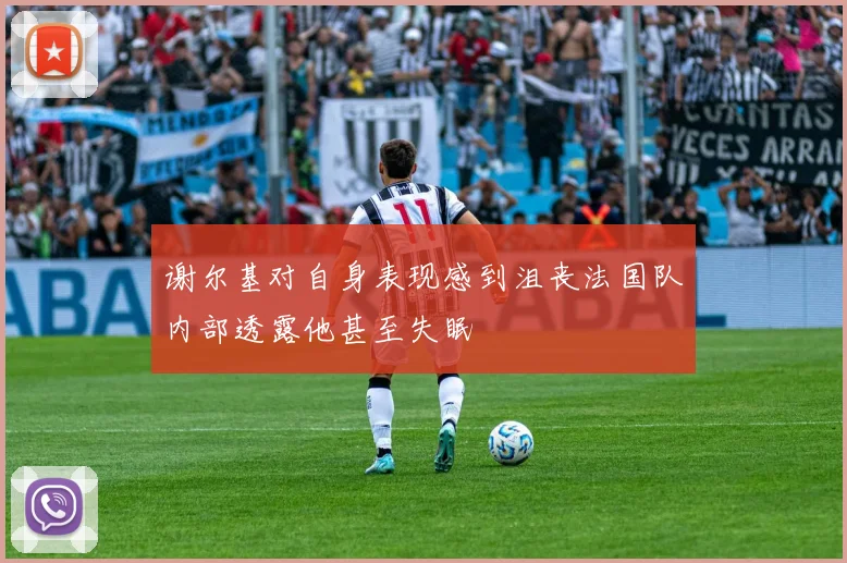 谢尔基对自身表现感到沮丧法国队内部透露他甚至失眠