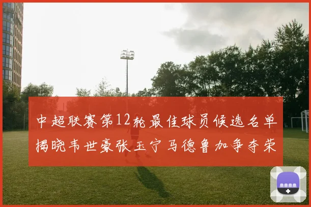 中超联赛第12轮最佳球员候选名单揭晓韦世豪张玉宁马德鲁加争夺荣誉