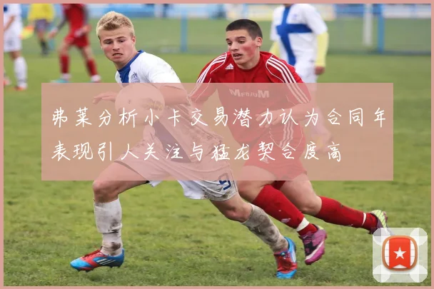 弗莱分析小卡交易潜力认为合同年表现引人关注与猛龙契合度高