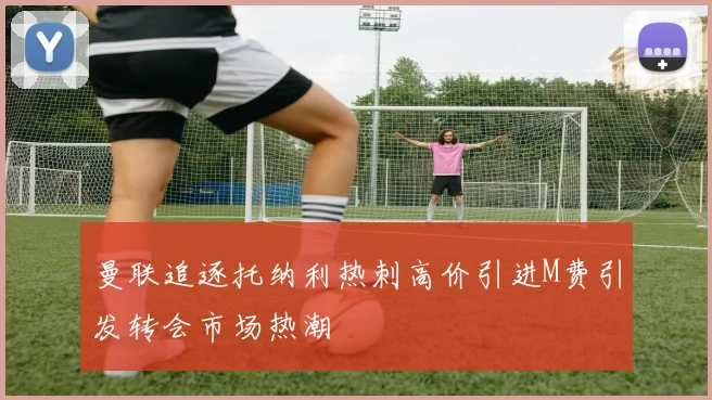 曼联追逐托纳利热刺高价引进M费引发转会市场热潮